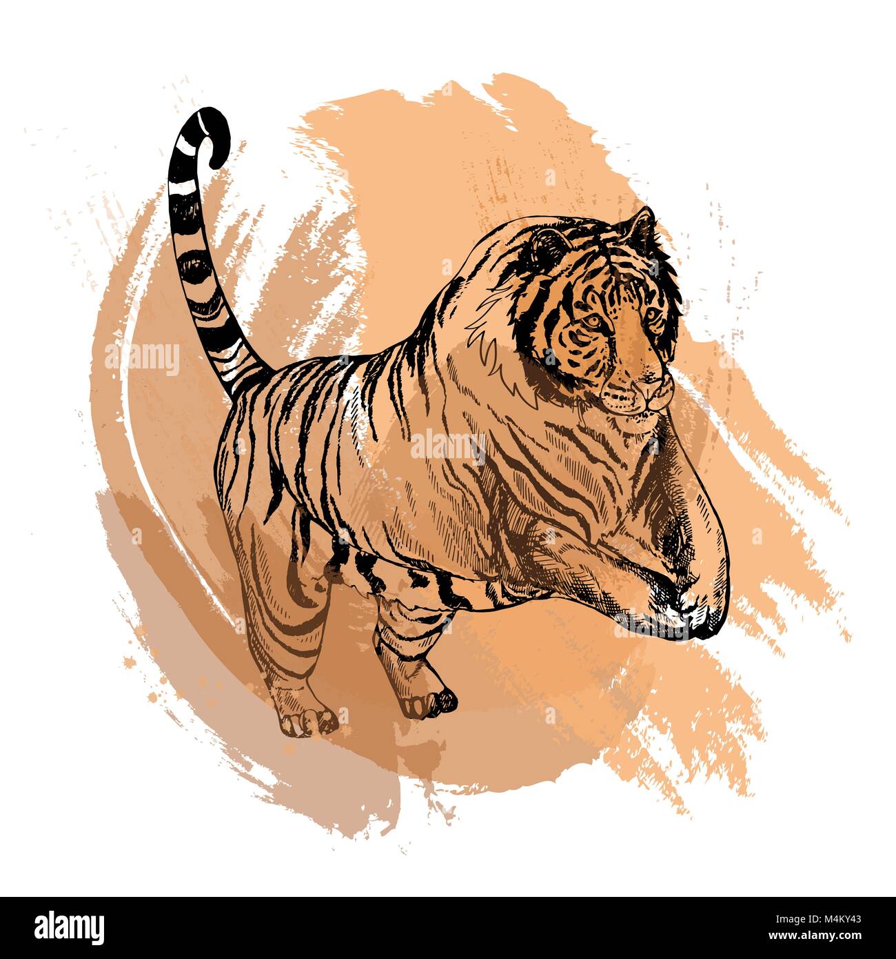 Hand Drawn Sketch Style Tiger Vector Illustration Isolated On White