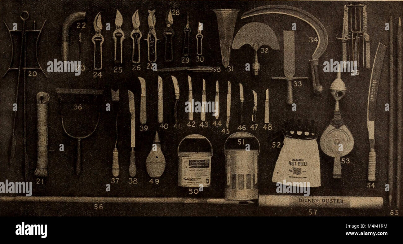 The 'Barnard's Seeds, Bulbs, Shrubs 1920' catalog offers a