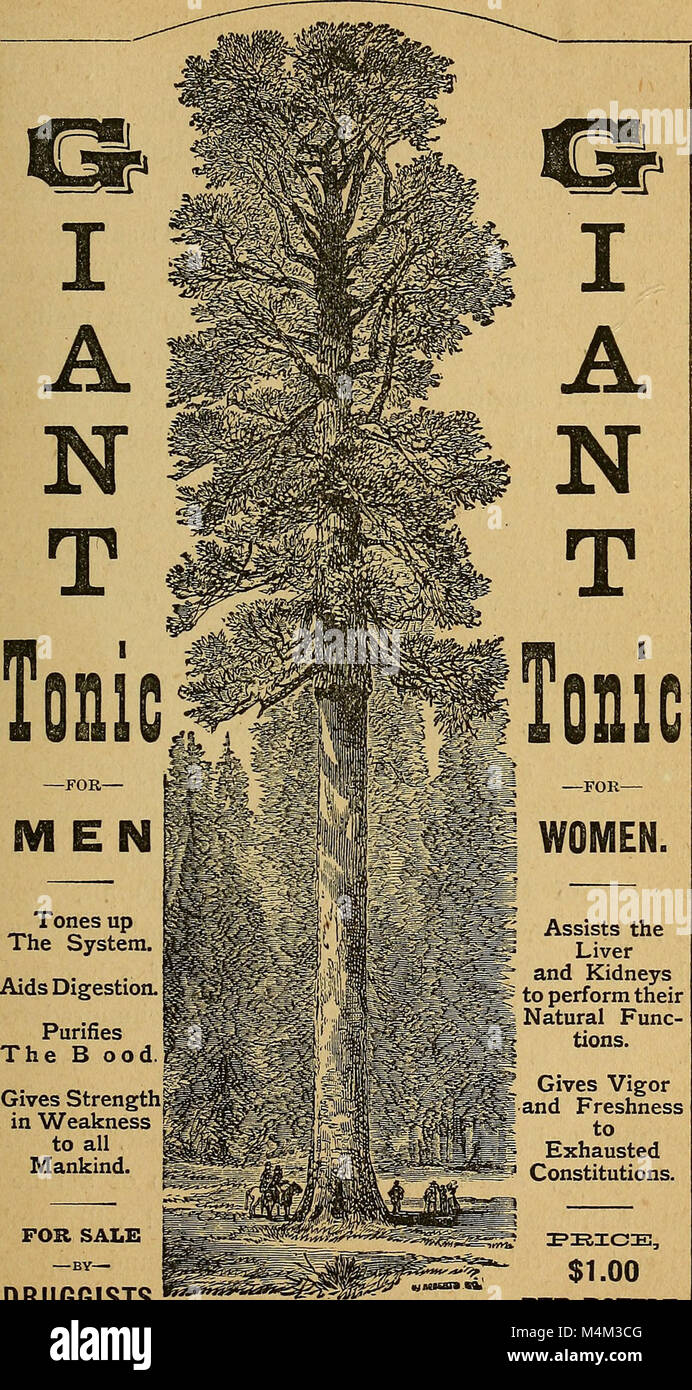 Beauties of California (1883) showcases the natural landscapes and ...