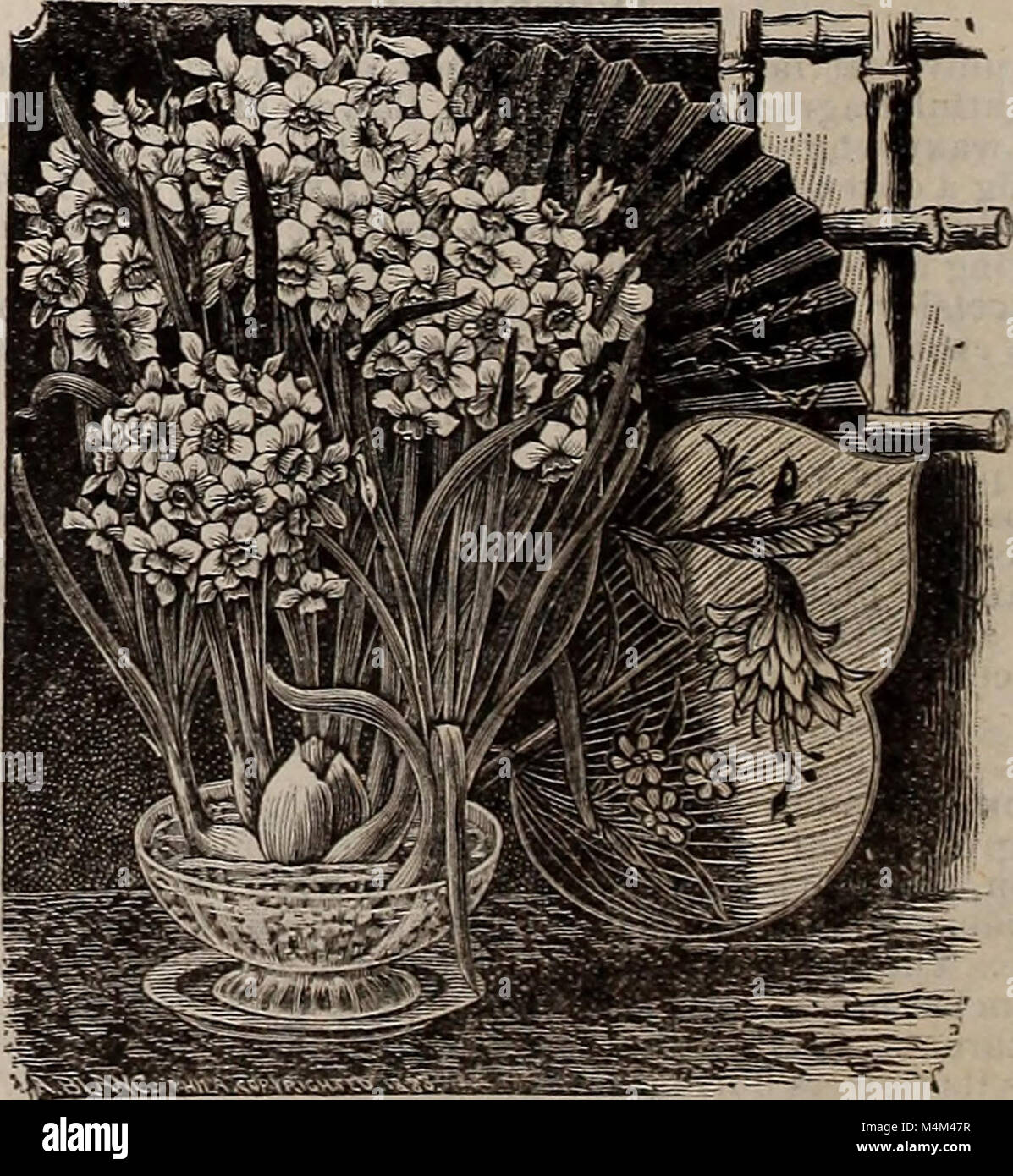 Beckert's descriptive illustrated seed catalogue vegetable, flower