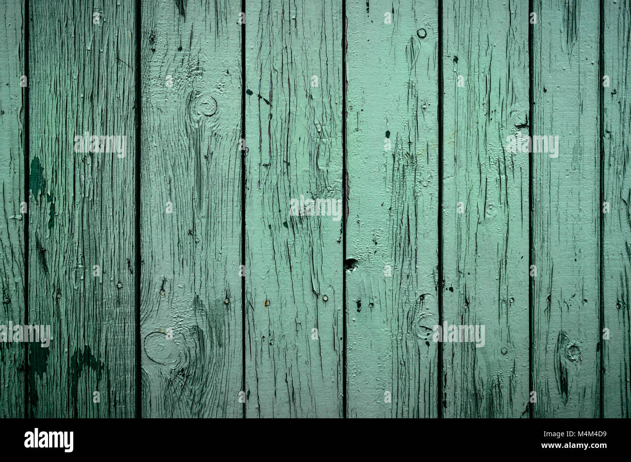Vintage wooden texture of an old fence painted green. Vertical texture ...