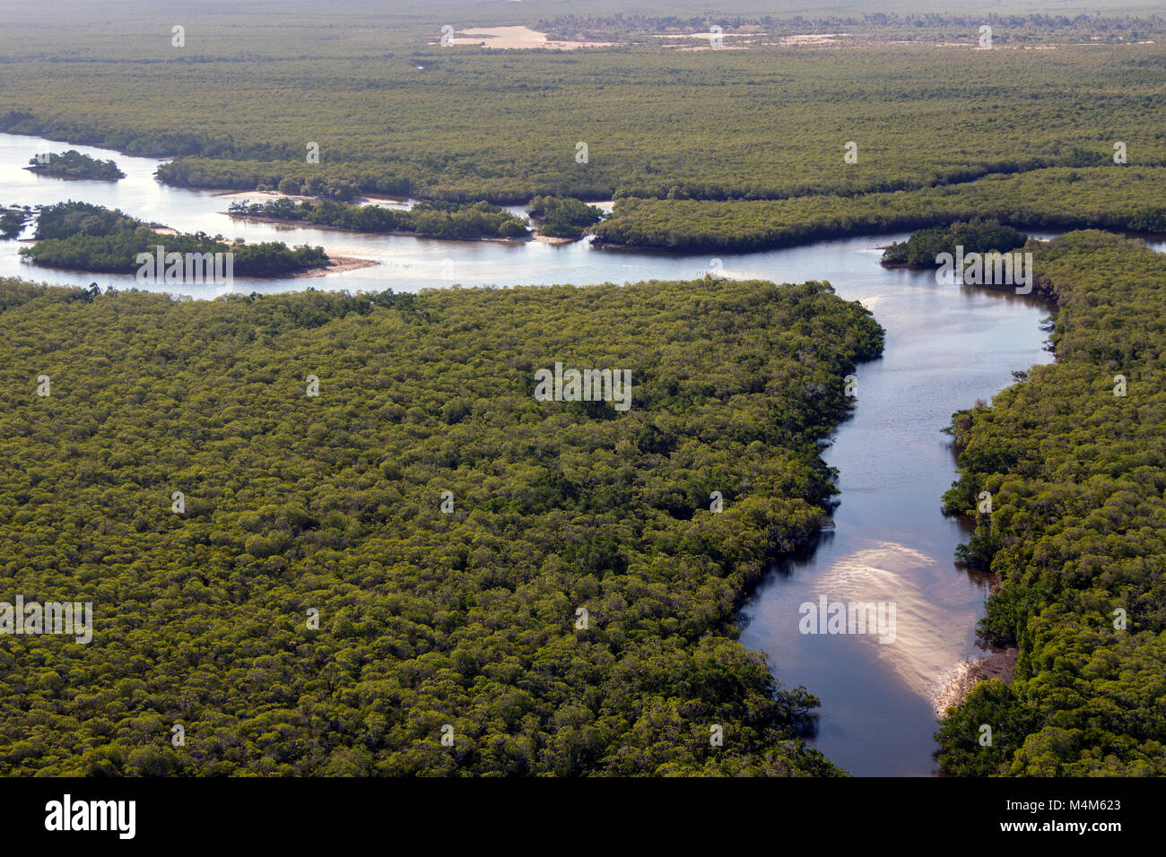 Mangrove coastal wetlands Mozambique Stock Photo