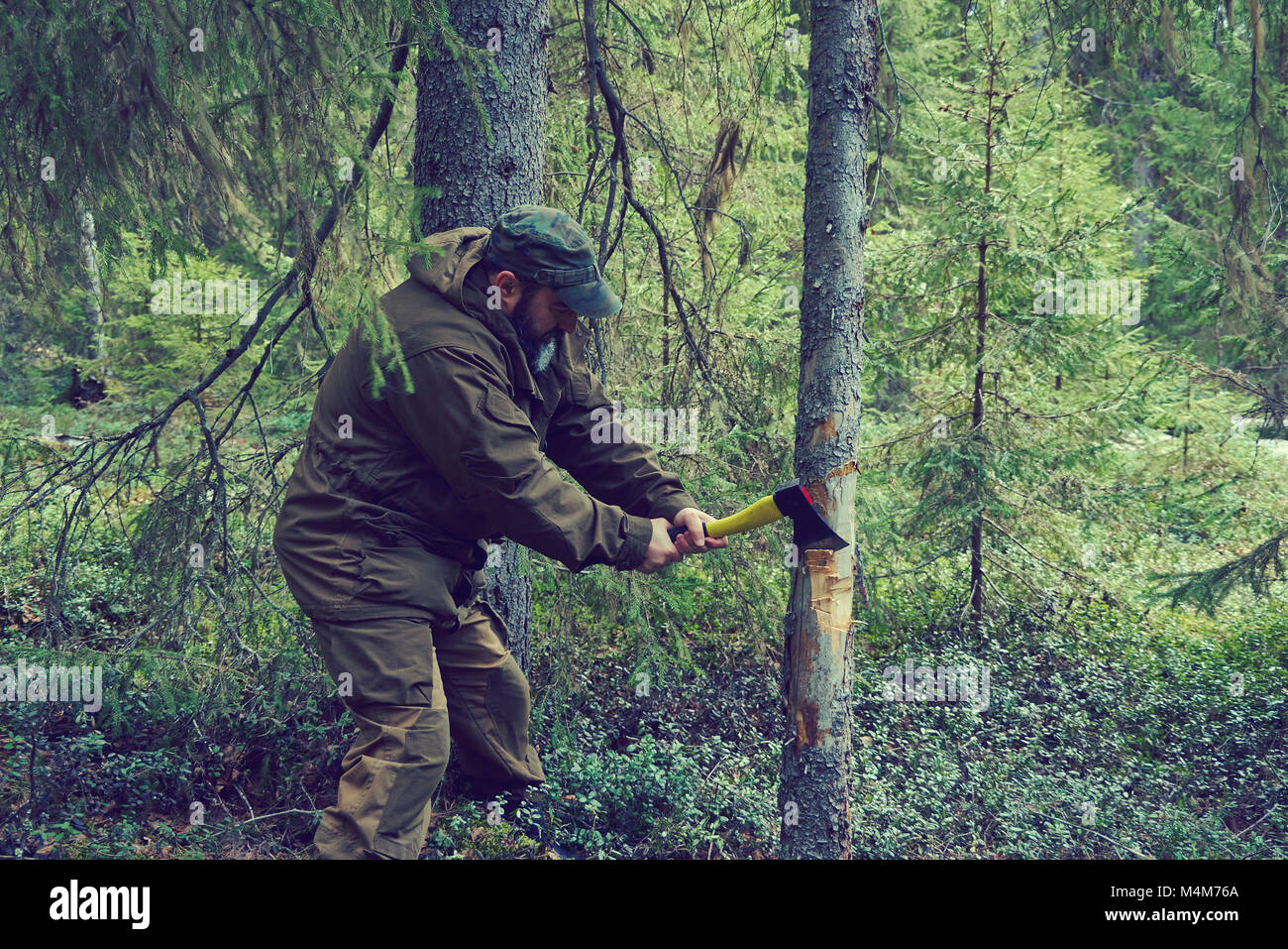 Man chopping wood hires stock photography and images Alamy