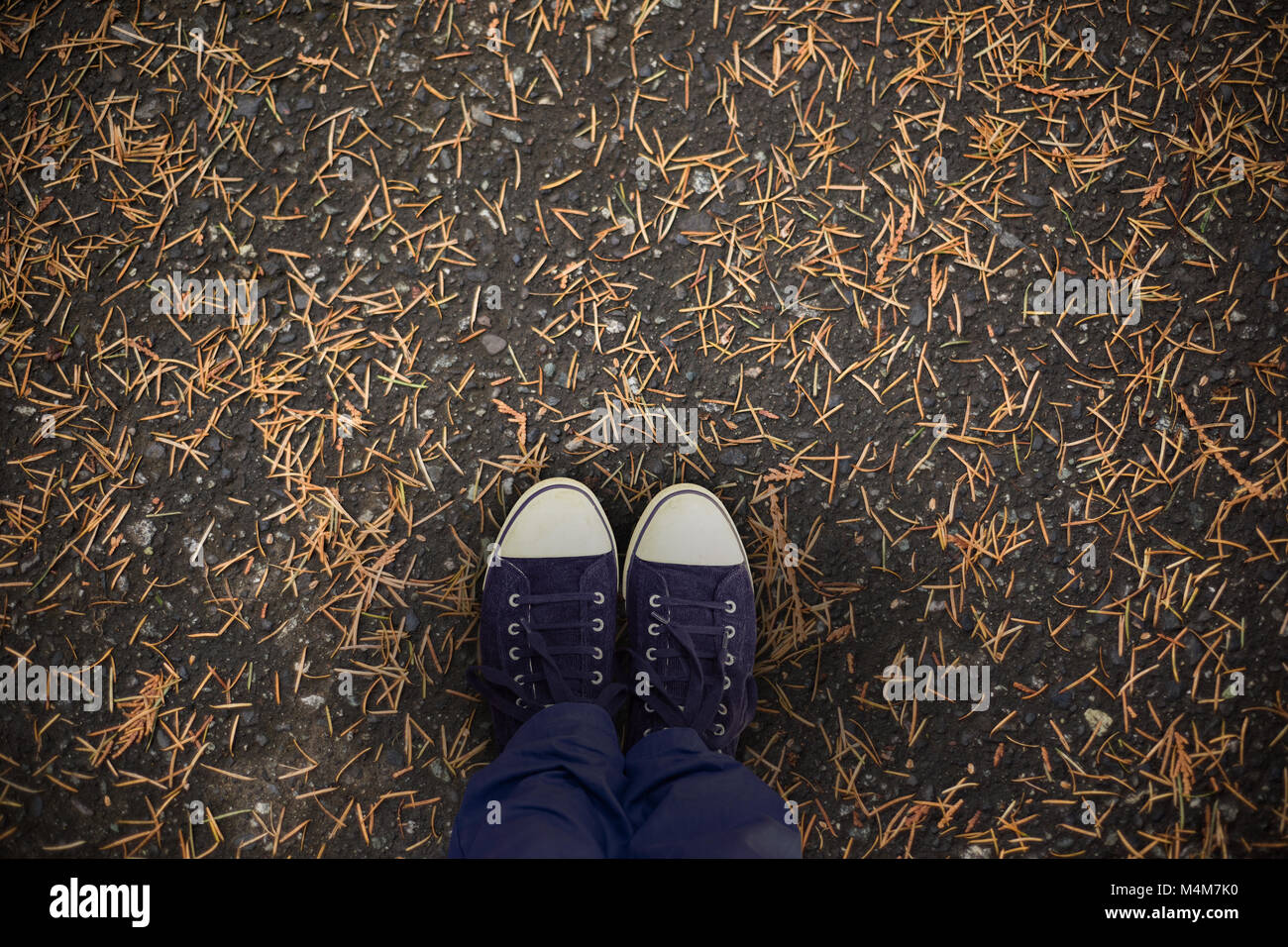 marshy-soil-hi-res-stock-photography-and-images-alamy