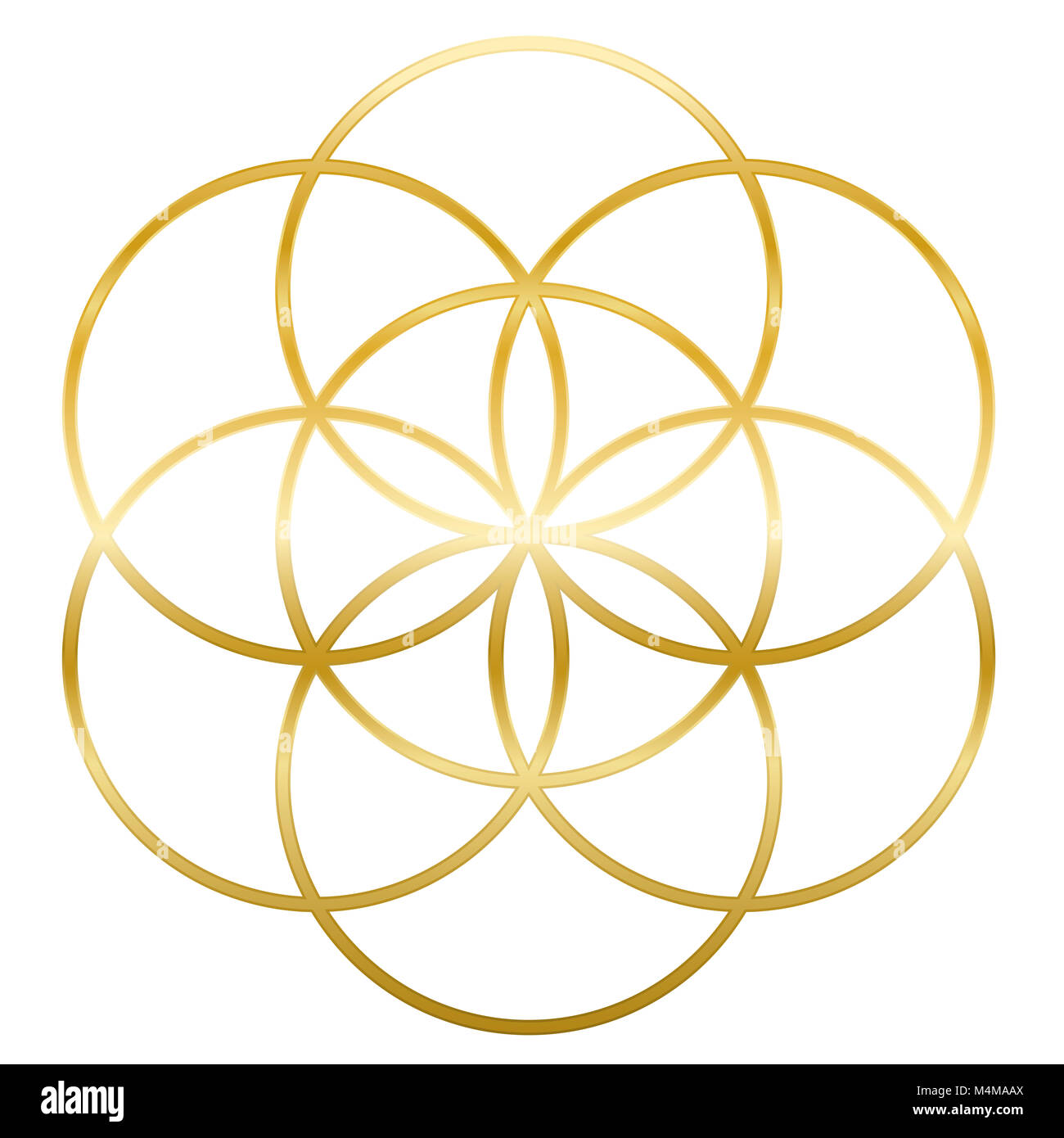 Golden Seed of Life. Precursor of Flower of Life symbol. Unique geometrical figure, composed of seven overlapping circles of same size, forming the sy Stock Photo