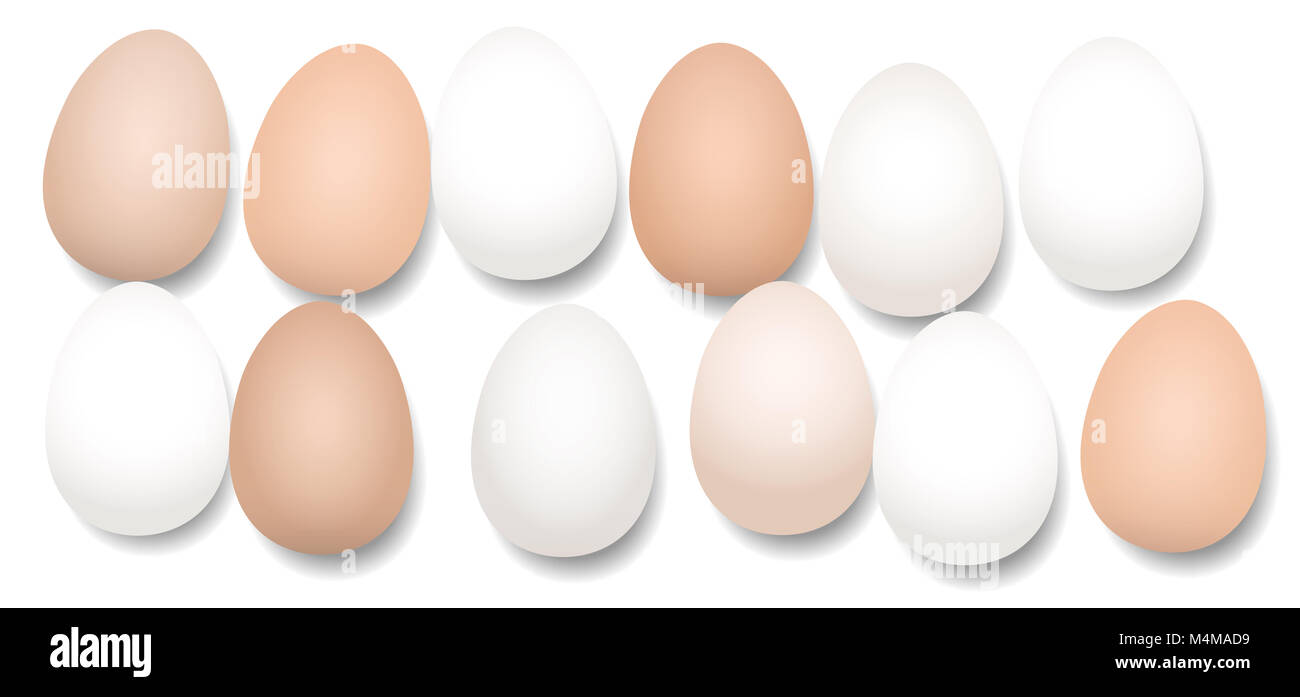 A dozen eggs. Twelve pieces with different white and brown tones, lying side by side, loosely arranged - isolated vector illustration on white backgro Stock Photo
