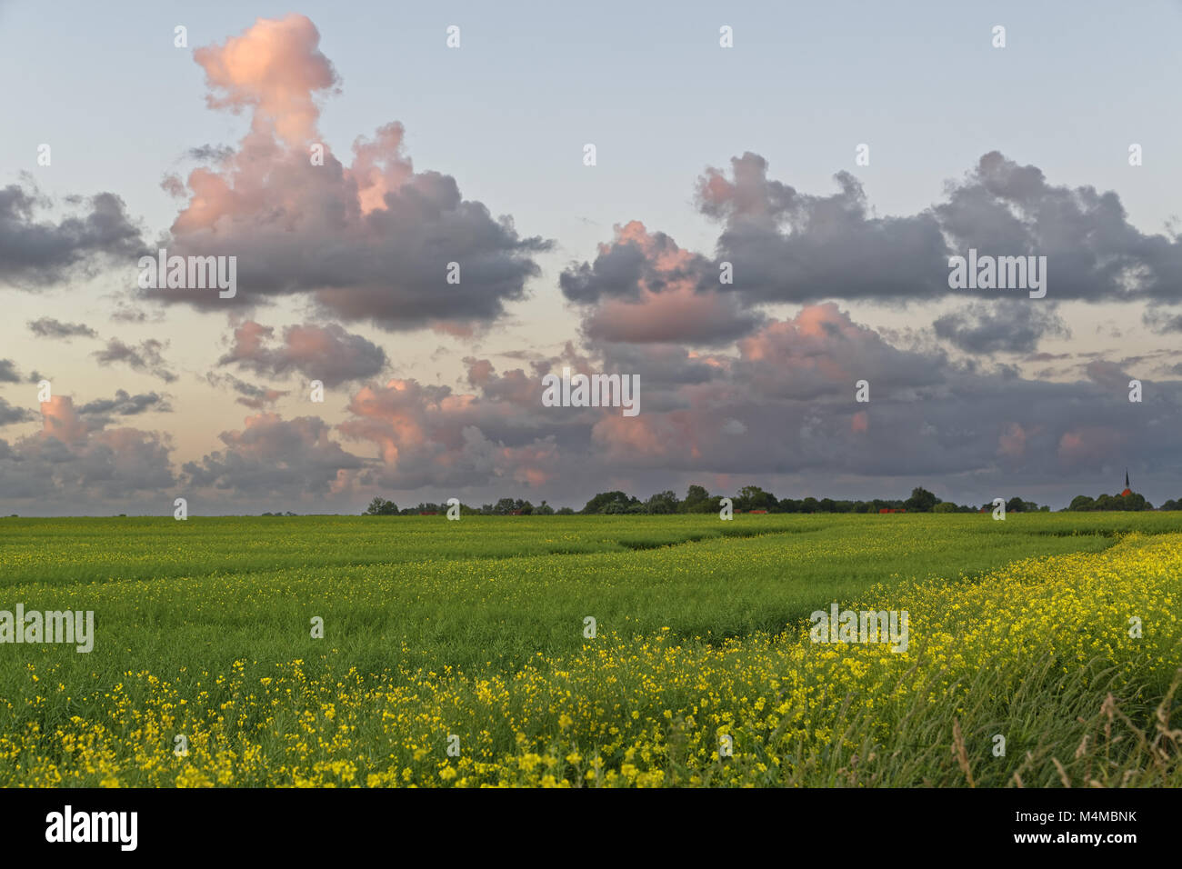 Evening sky in East Frisia Stock Photo