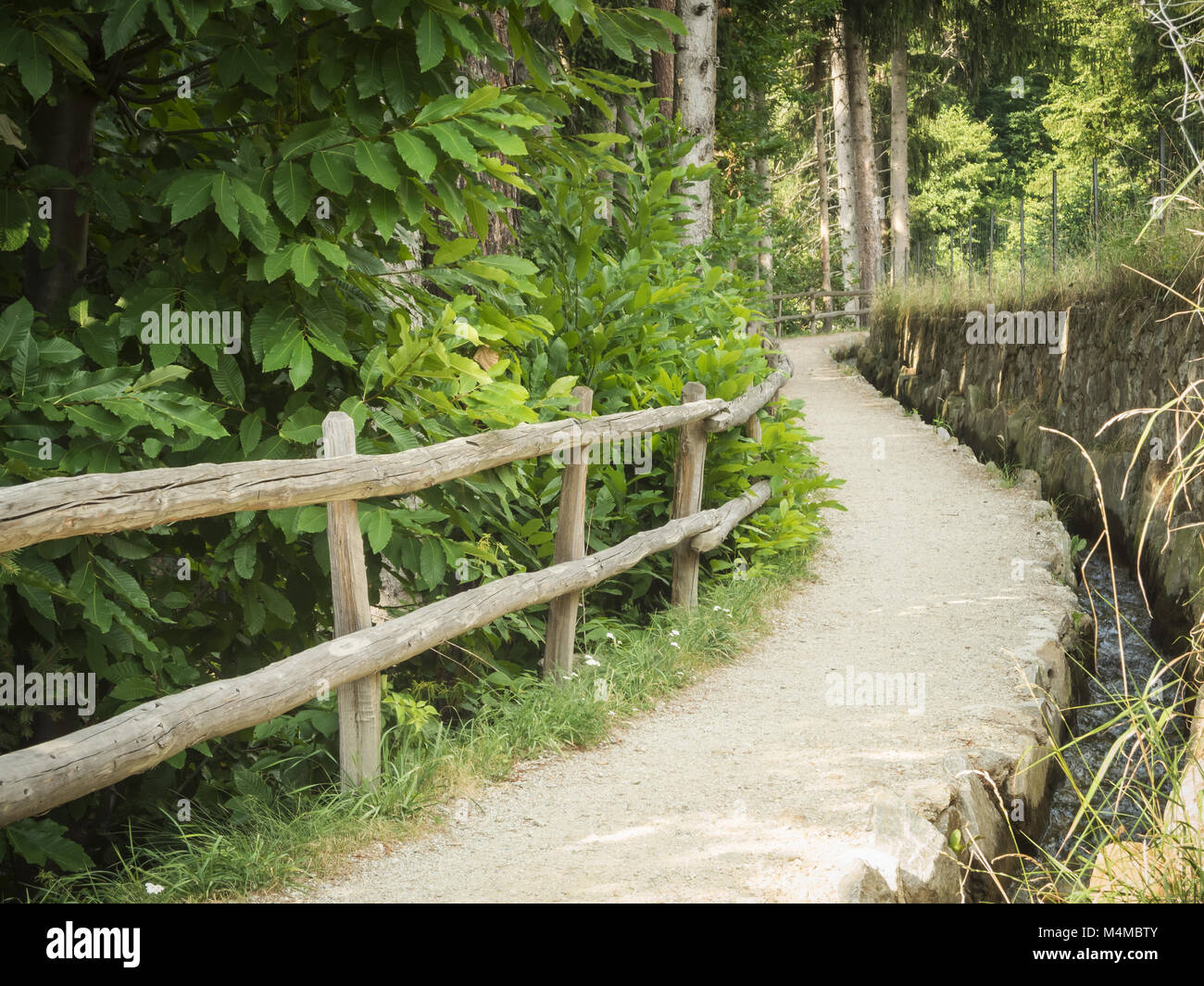Small hiking path in hi res stock photography and images Alamy