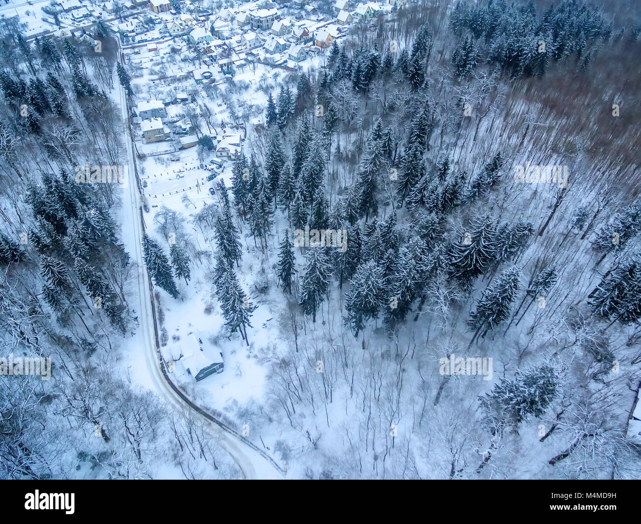 Aerial top view of snowy forest and detached houses in winter Stock Photo
