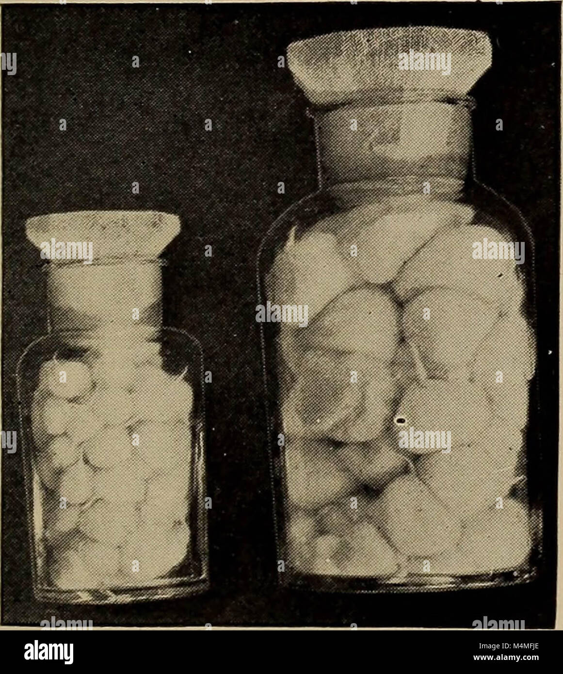 sterile asepsis sterile asepsis