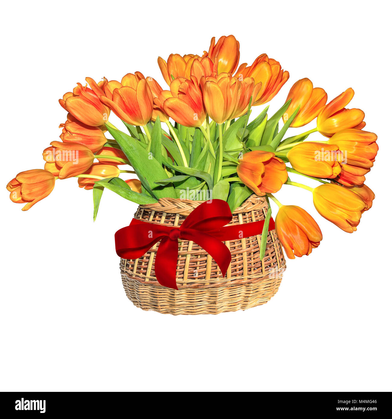 Bunch of bright orange tulips in a wicker basket with red ribbon bow ...