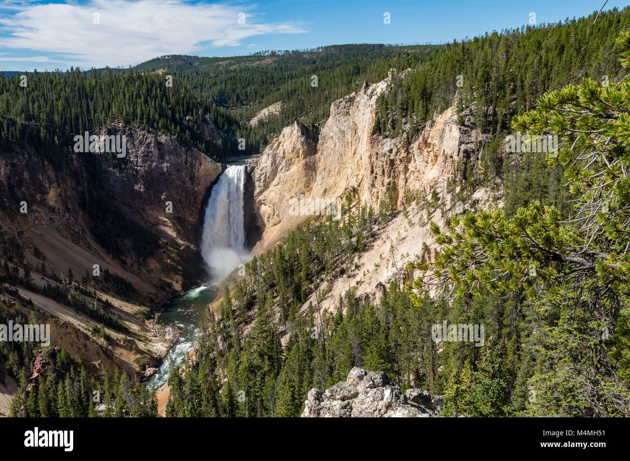 View of the Lower Falls of the Yellowstone RIver from Lookout Point.  Yellowstone National Park, Wyoming, USA Stock Photo