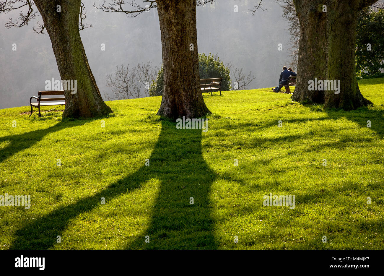 Spring sunshine silhouetting trees and a couple on a park bench near the edge of the Avon Gorge in Clifton village Bristol UK Stock Photo