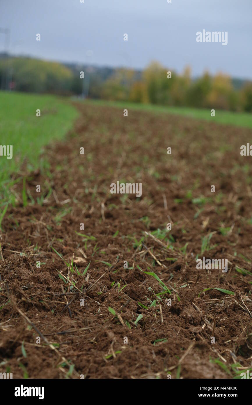 Freshly tilled soil Stock Photo Alamy