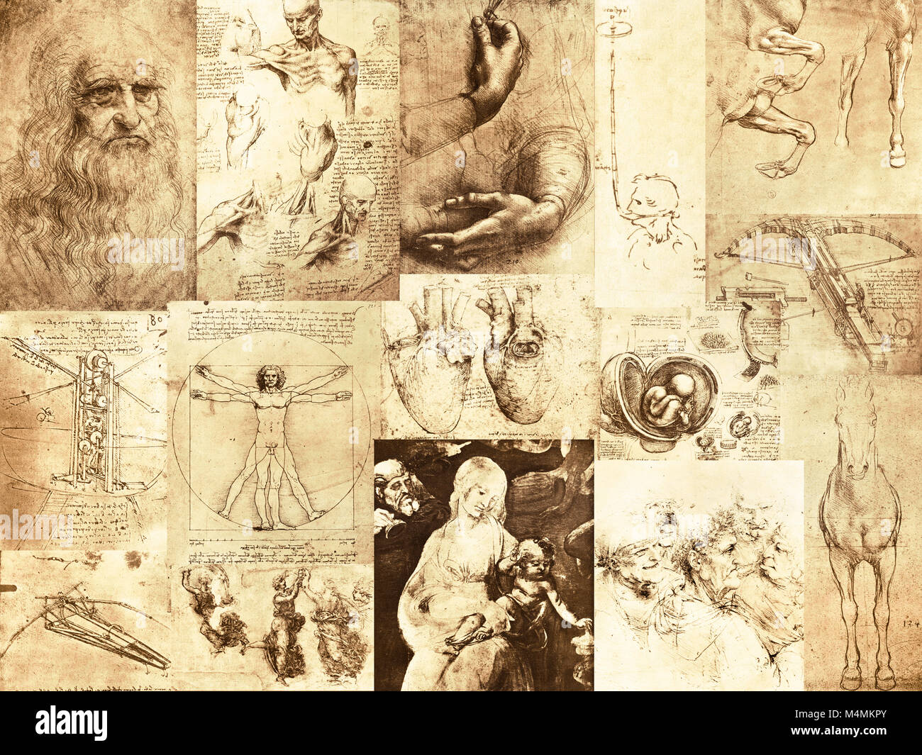 the inventive mind of Leonardo Da Vinci, 1452–1519, Stock Photo