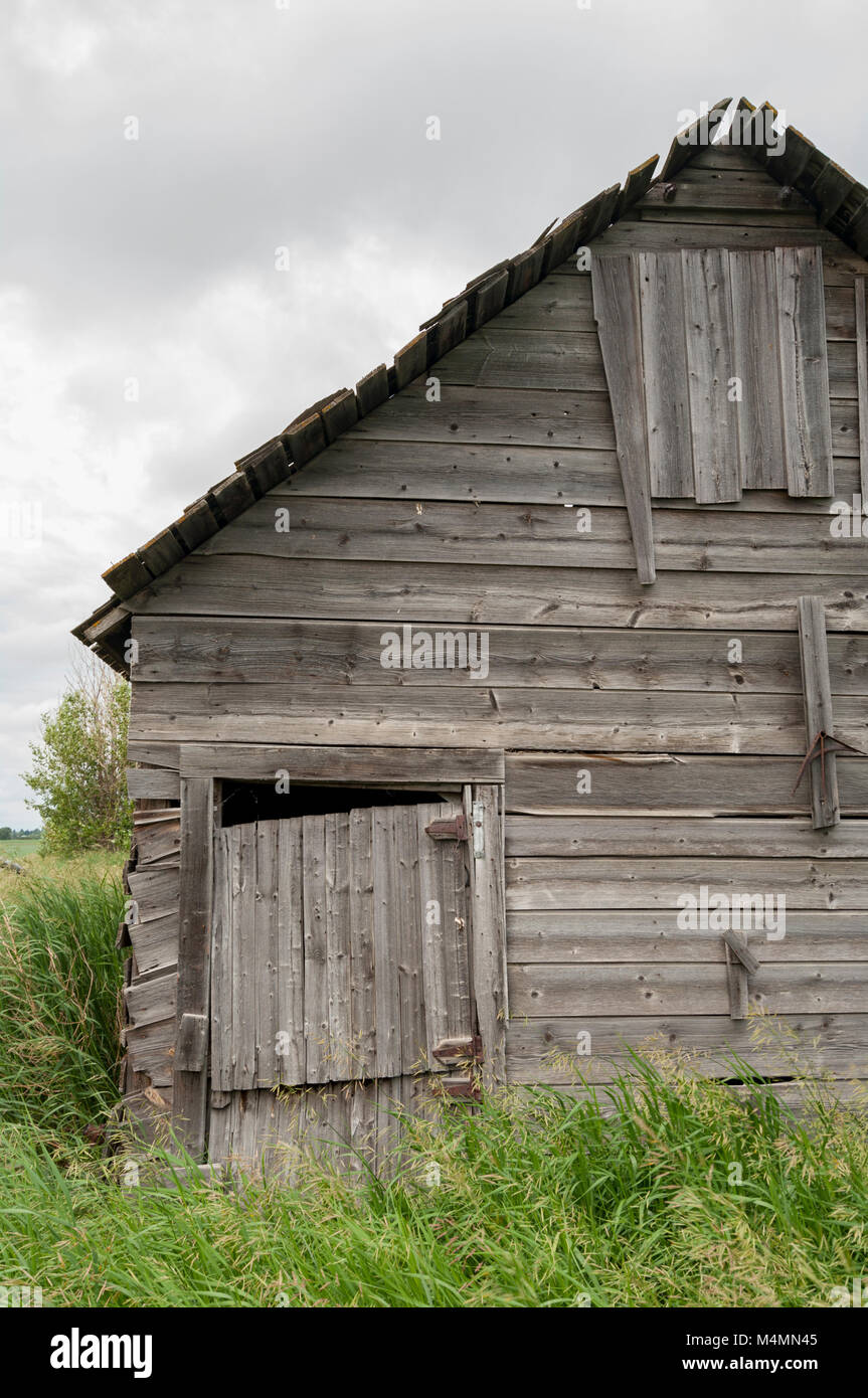 Newell County, Alberta, Canada. Abandoned wooden farm building on the