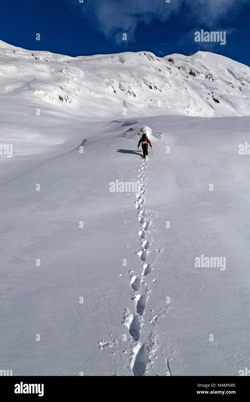 Female hiker heading towards the East Ridge of Stob Coire a' Chàirn in the Mamores Mountain range in Scotland. Hikers footprints away from camera. Stock Photo