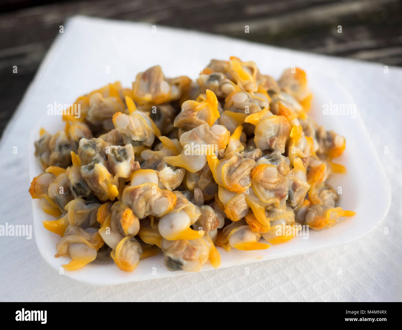 A takeaway plate of Cockles from a seafood stall from Old Leigh in Essex Stock Photo