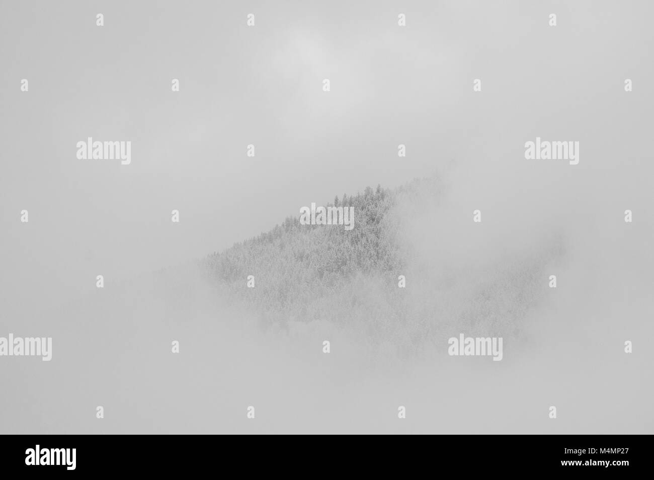 Mountain ridge with frost and snow covered trees surrounded by clouds and fog in monochrome. Stock Photo