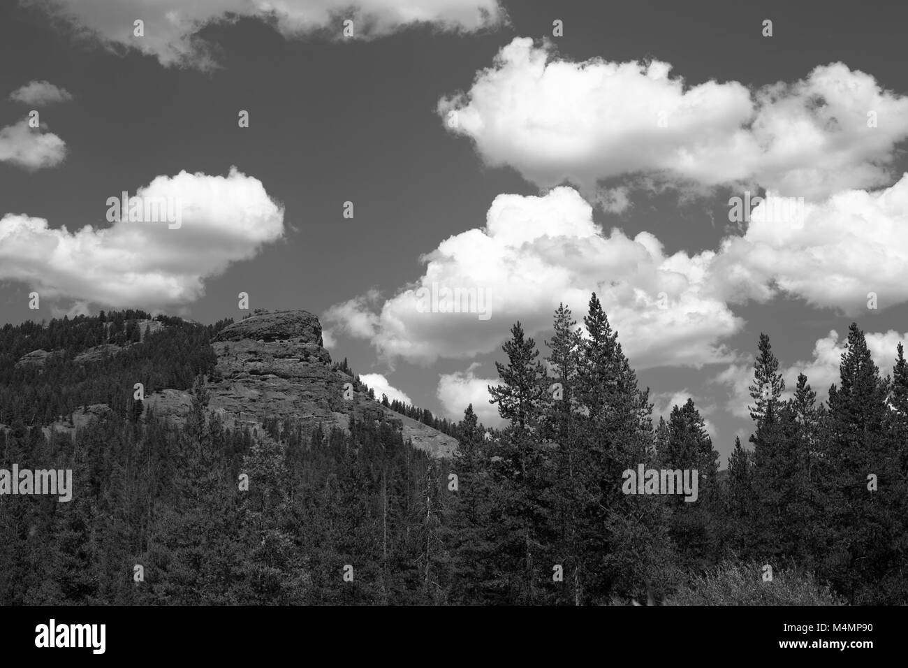 Yellowstone Stock Photo