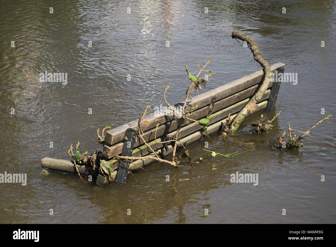 Hanover - Bench during high water, Germany Stock Photo