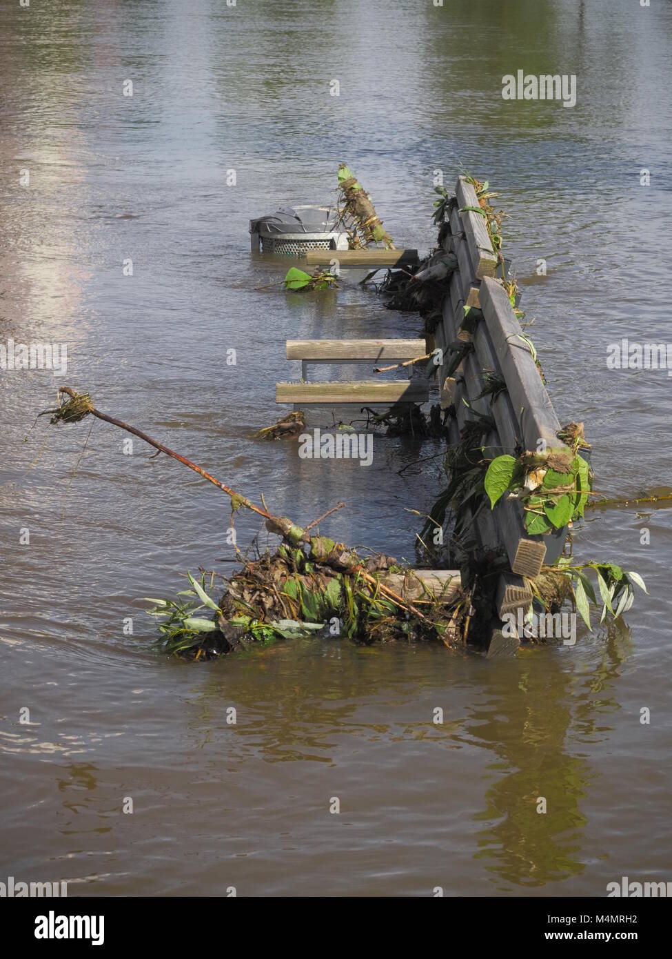 Hanover - Bench during high water, Germany Stock Photo