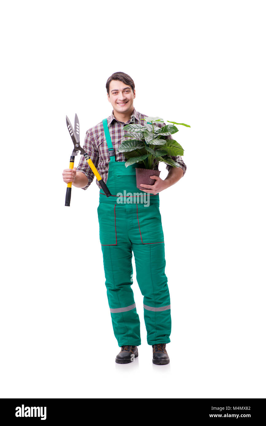 Young man gardener isolated on white Stock Photo - Alamy