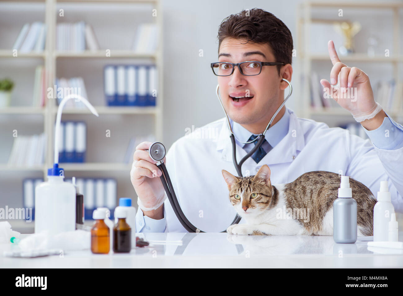 Cat visiting vet for regular checkup Stock Photo Alamy