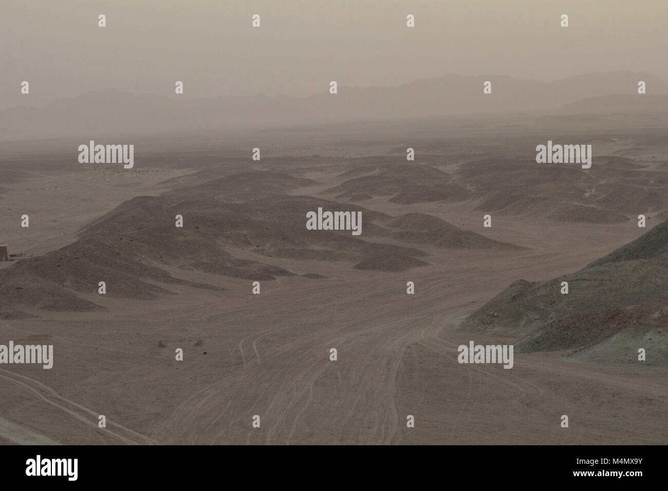 Wadi el Gamal national park Stock Photo