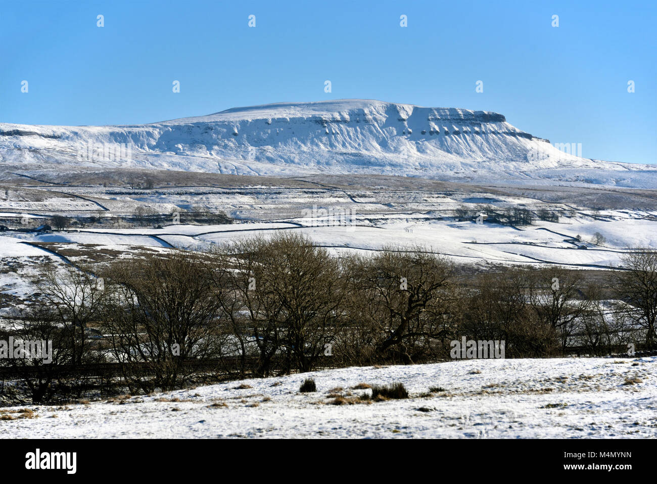 Pen-y-ghent from Gauber Road. Yorkshire Dales National Park, Yorkshire, England, United Kingdom, Europe. Stock Photo