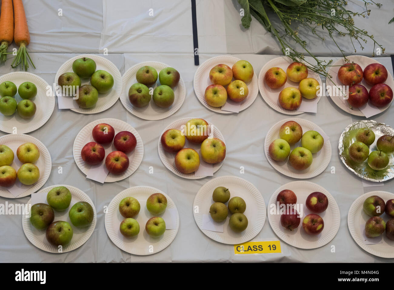 Winners and losers competition hires stock photography and images Alamy