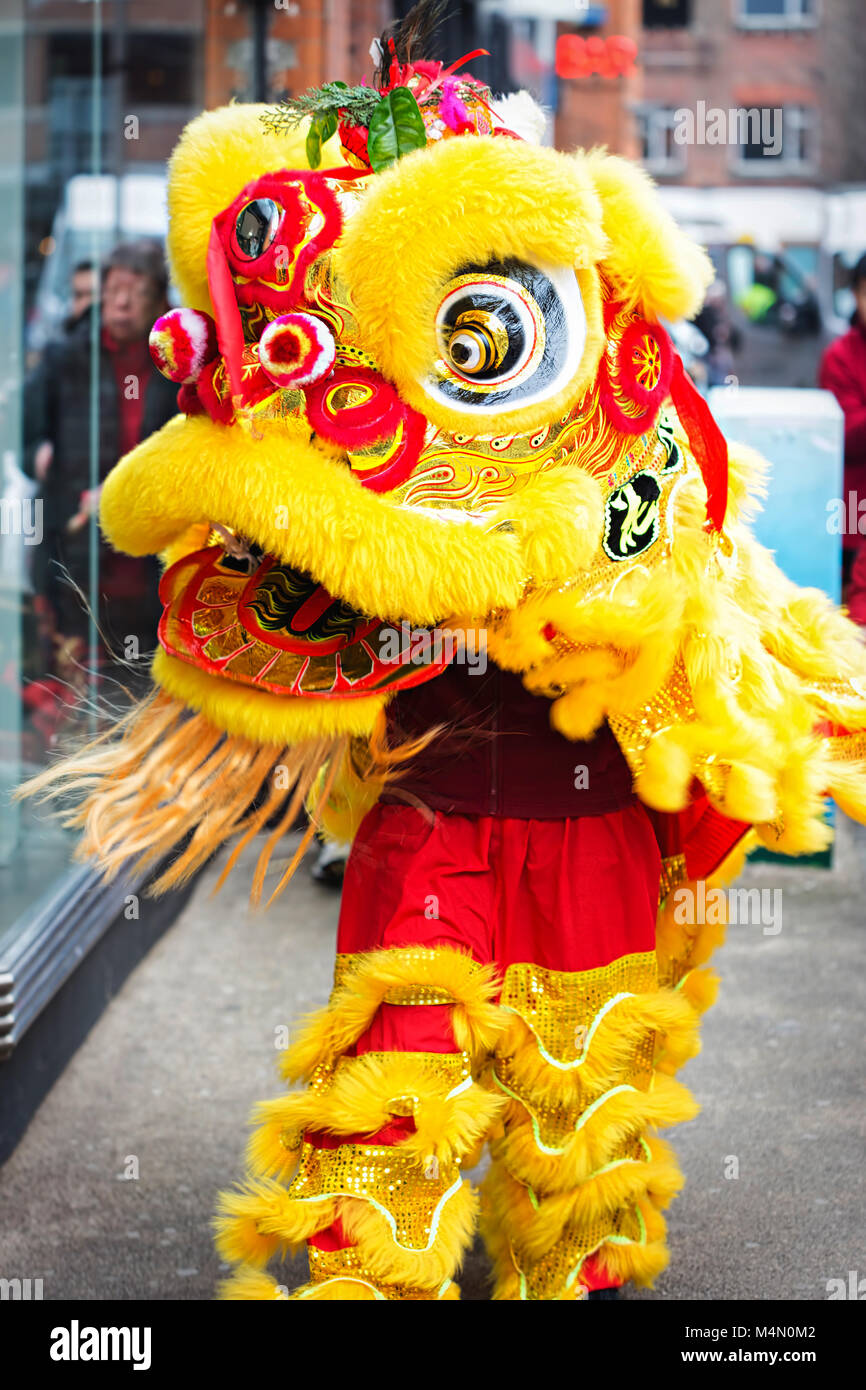 dog chinese new year clothes