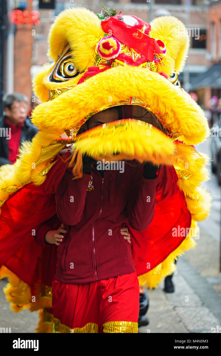wood dog chinese new year