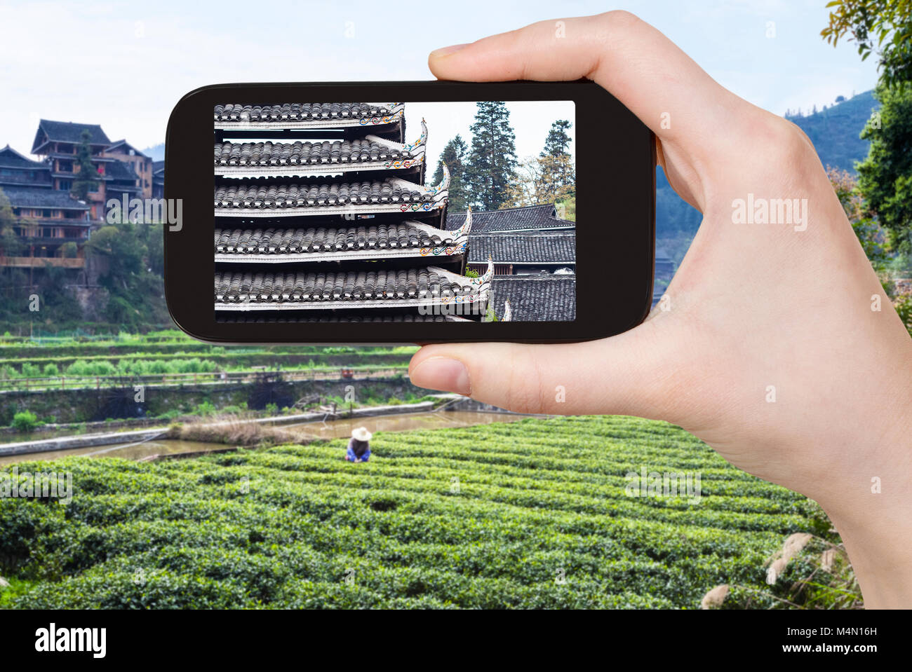 travel concept - tourist photographs tea plantation and pagoda in ...