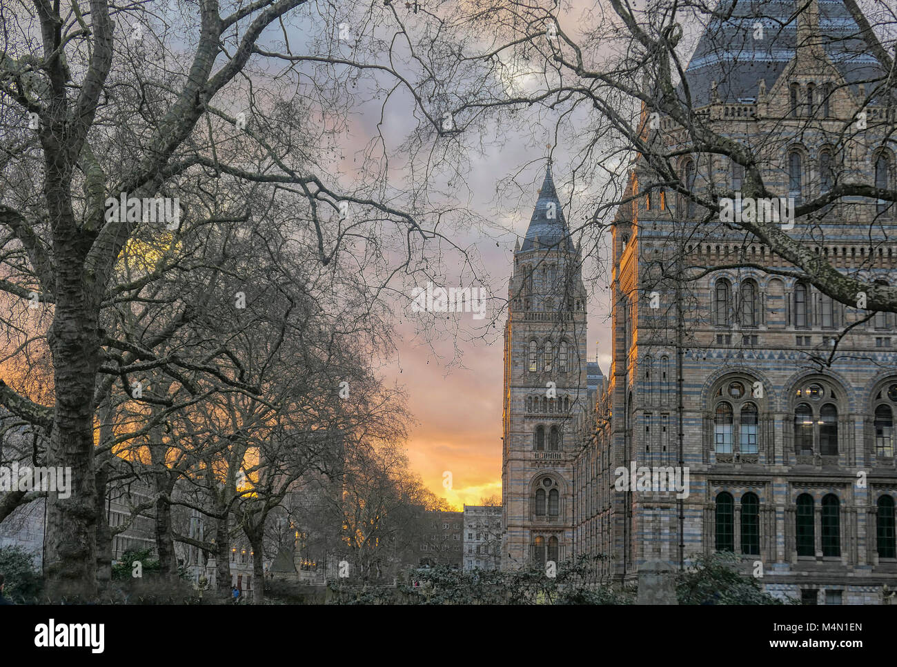 Amazing view of Natural History Museum, London, Great Britain with sunset Stock Photo