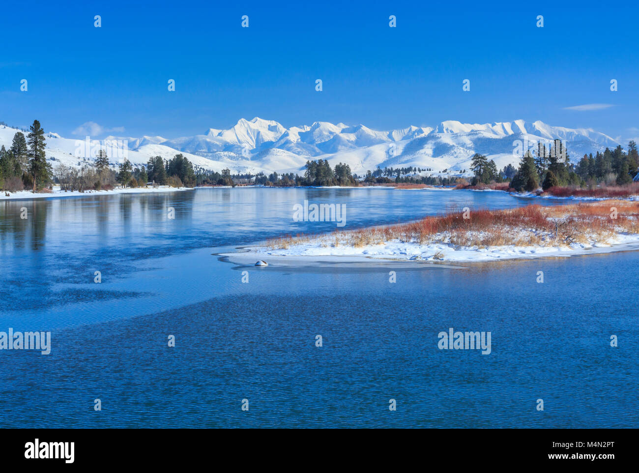 flathead river below the mission mountains in winter near dixon