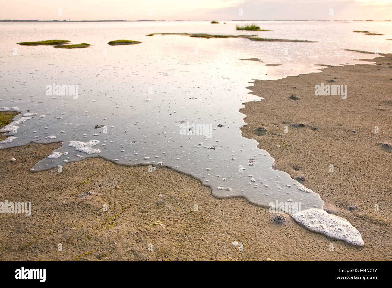 The upcoming tide floods parts of the beach of the island Tholen in Zeeland, the Netherlands Stock Photo