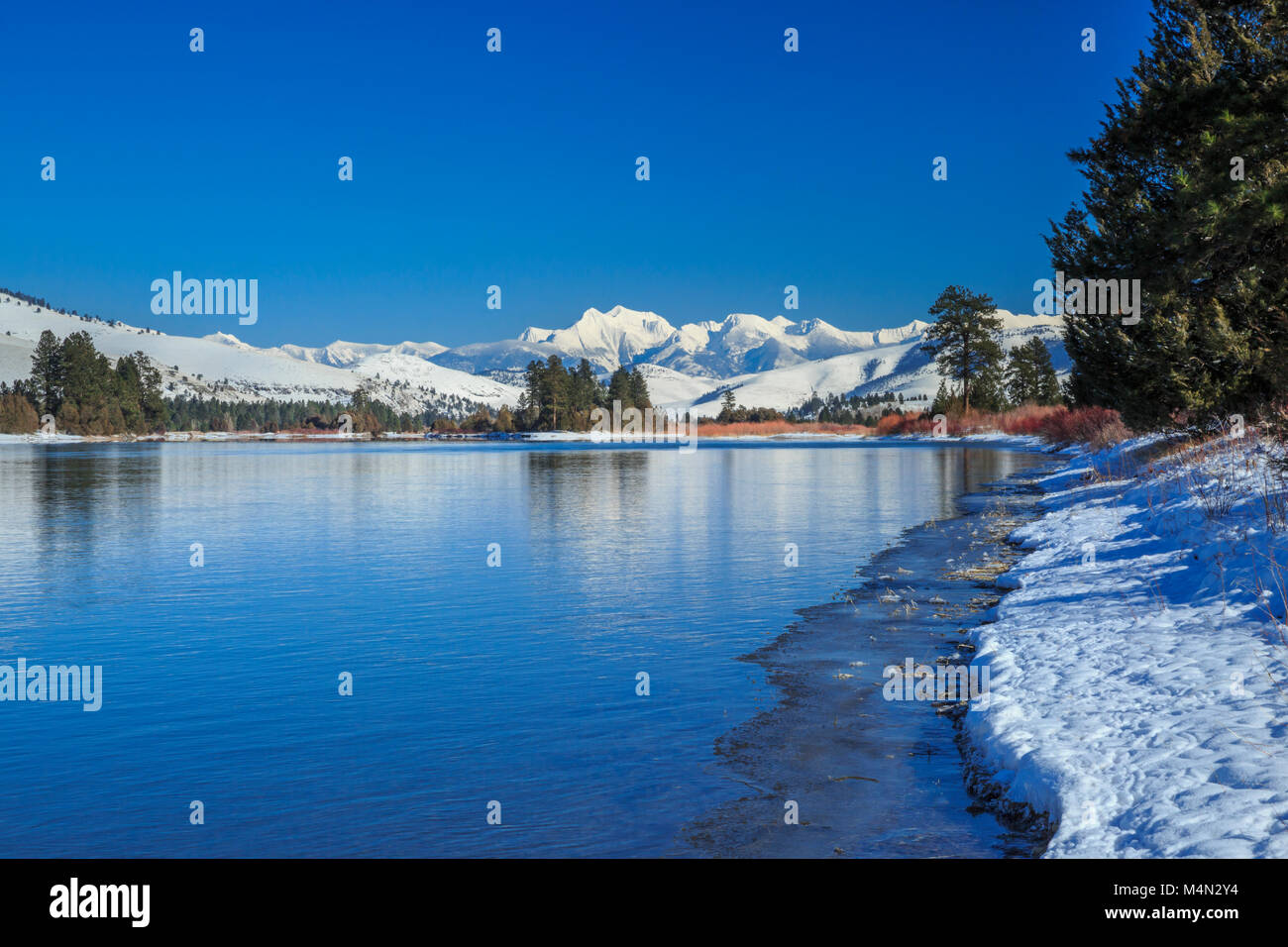 flathead river below the mission mountains in winter near dixon
