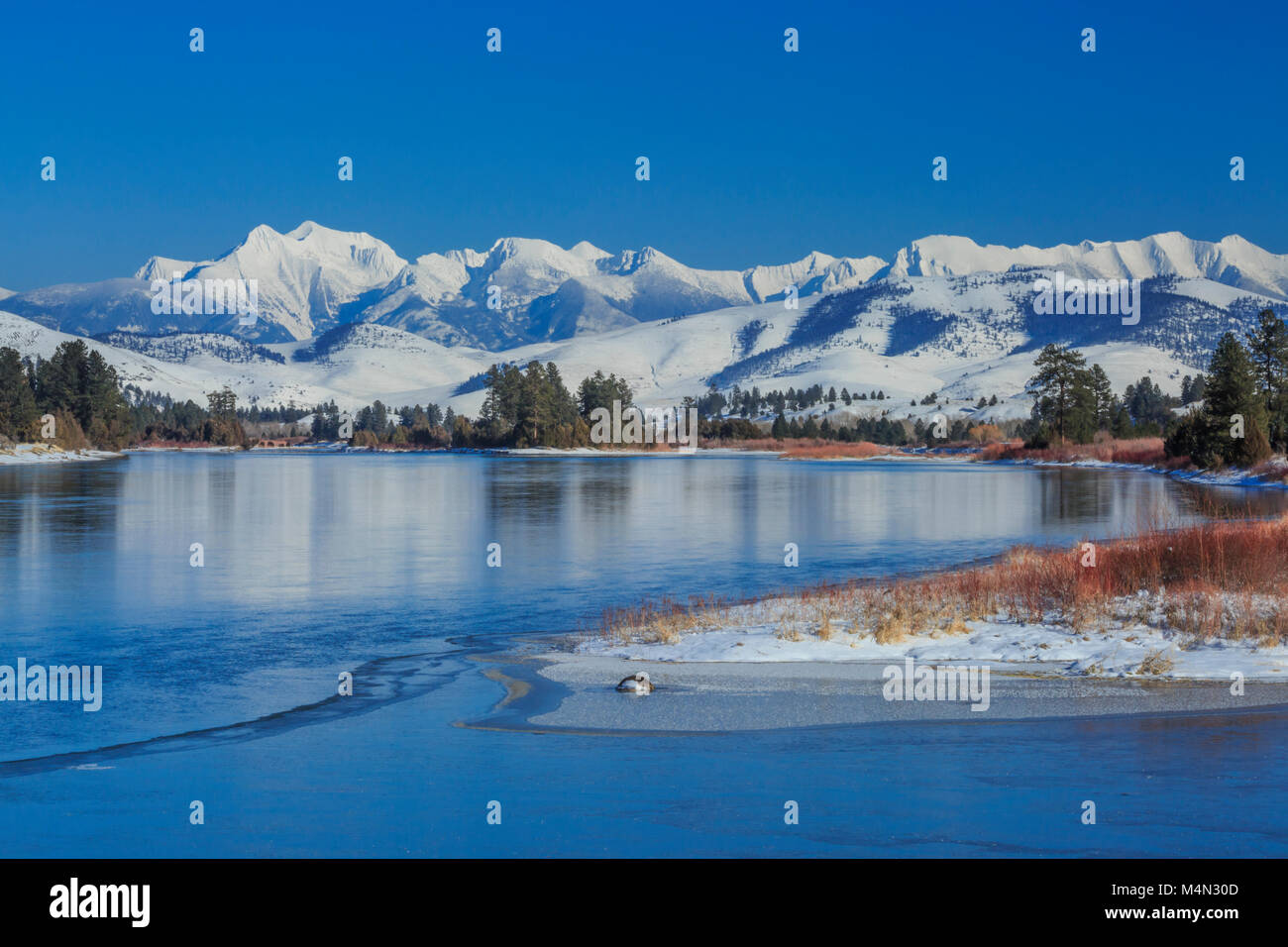 flathead river below the mission mountains in winter near dixon