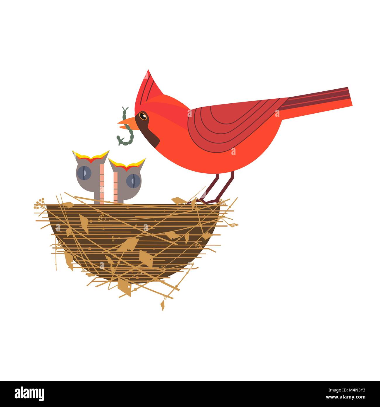 Nothern red cardinal feeding baby birds Stock Vector