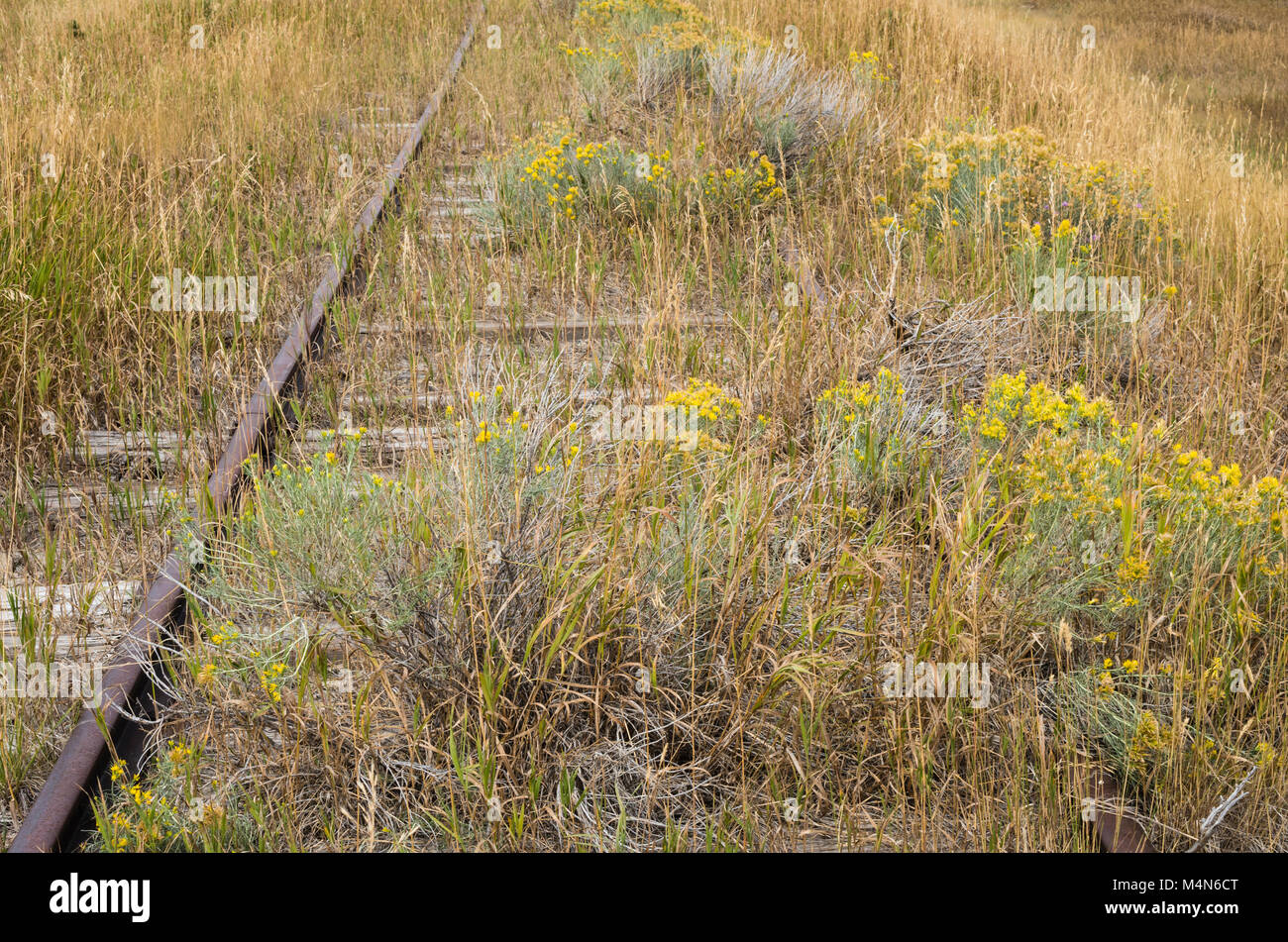 Abandoned railroad tracks running through the praire near Wilsall Montana Stock Photo