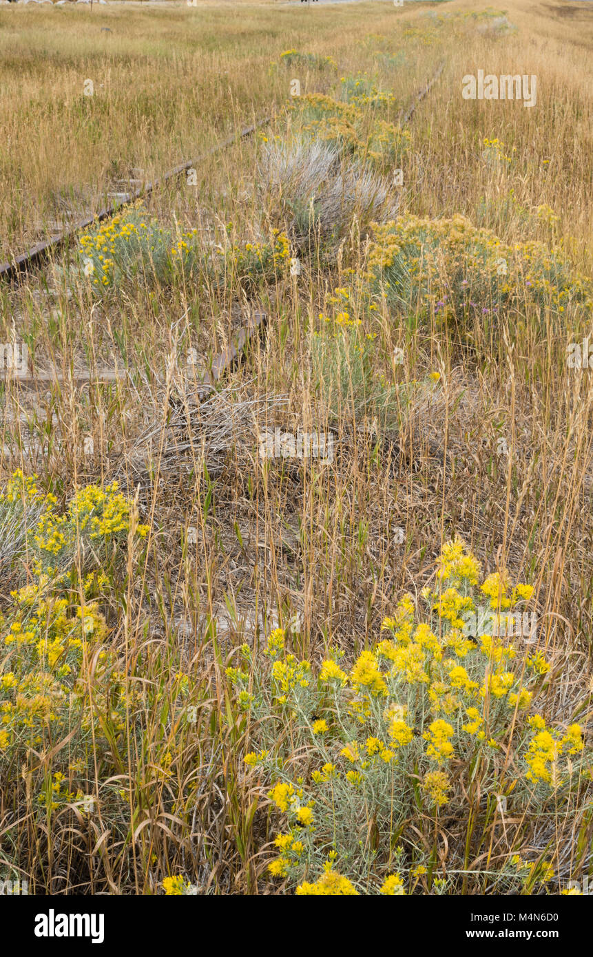 Abandoned railroad tracks running through the praire near Wilsall Montana Stock Photo