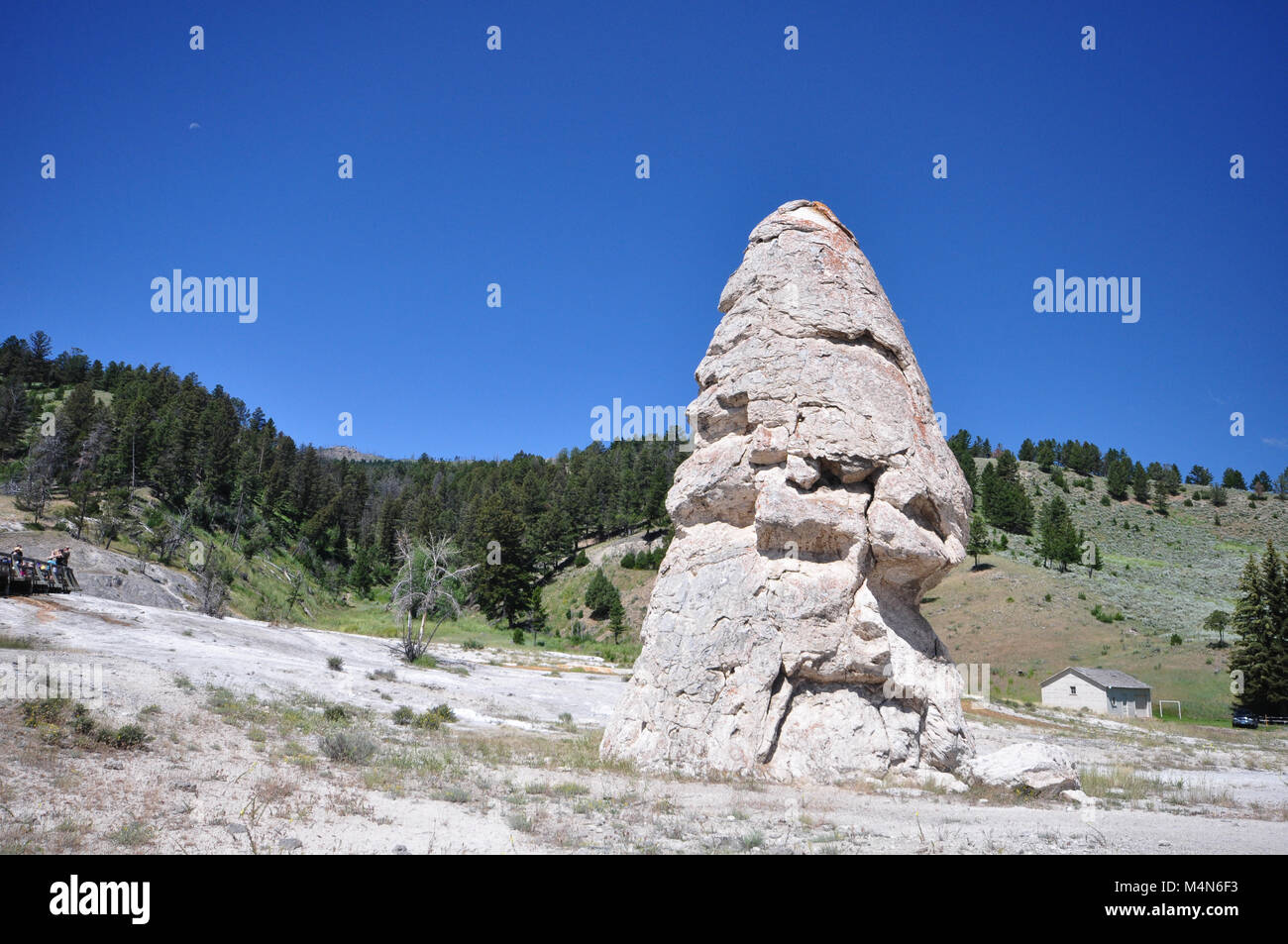 Liberty Cap is a thermal feature at Mammoth Hot Springs, hot springs complex on a hill of travertine in Yellowstone National Park, Wyoming, USA. Stock Photo