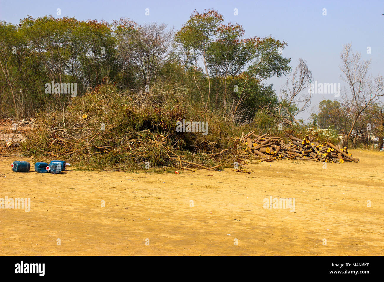 Forest being cut down to clear land. Stock Photo