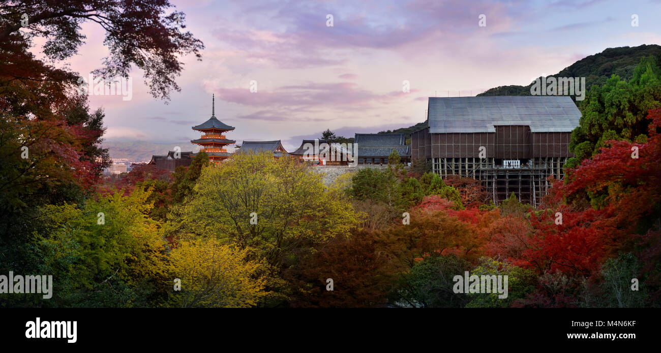 Kiyomizu-dera Buddhist temple being restored, the main hall building surrounded with scaffoldings. Autumn panoramic scenery, Kyoto, Japan 2017. Stock Photo