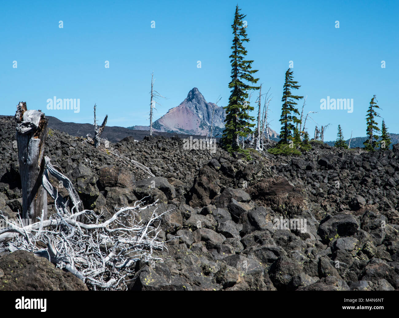 Mckenzie Pass Oregon High Resolution Stock Photography and Images Alamy