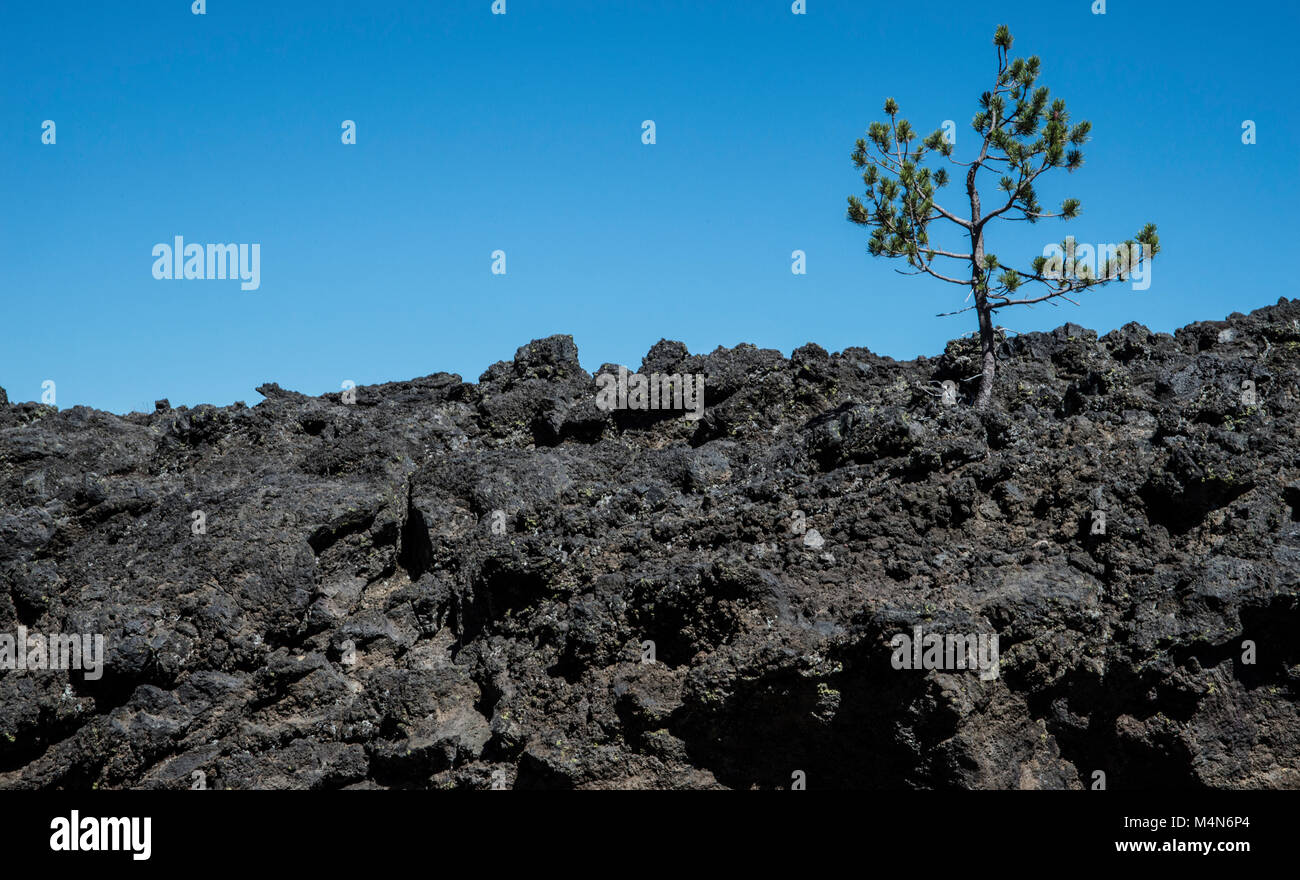 Central oregon lava field cascade hires stock photography and images