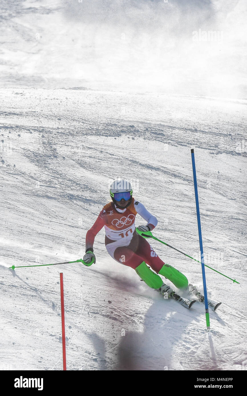 February 16, 2018: Denise Feierabend of Â Switzerland competing in womens final in slalom at Yongpyong Alpine Centre, Pyeongchang , South Korea. Ulrik Pedersen/CSM Stock Photo