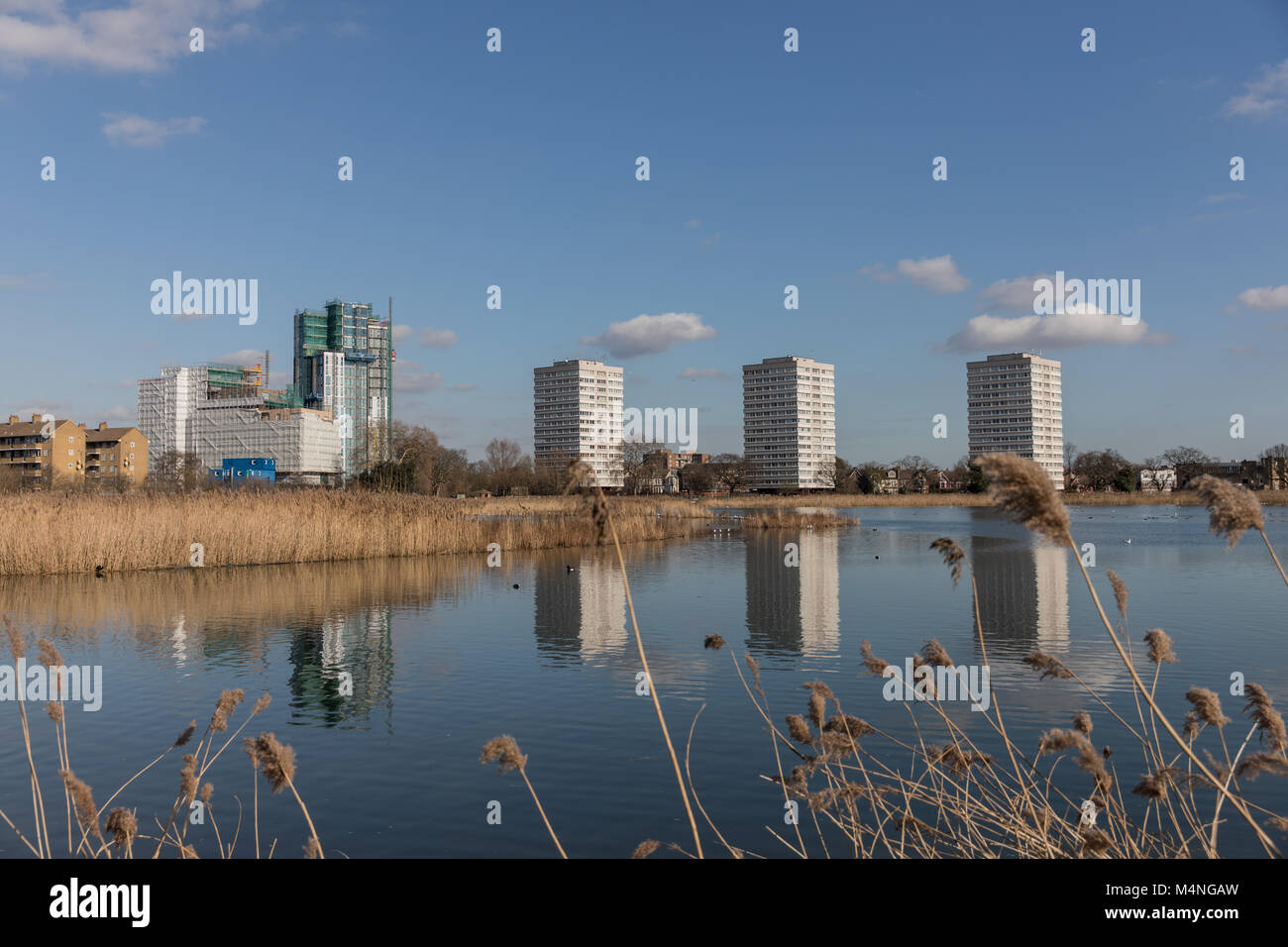 London. 17th Feb, 2018. UK Weather. Beautiful weather in Hackney, London, UK, 17th February, 2018. Views over Woodberry Wetlands to Woodberry tower blocks with ferns in foreground. Credit: carol moir/Alamy Live News Stock Photo
