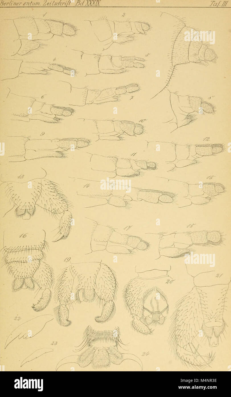 Insect Journal A journal published in 1894 focusing on entomology, the study of ...